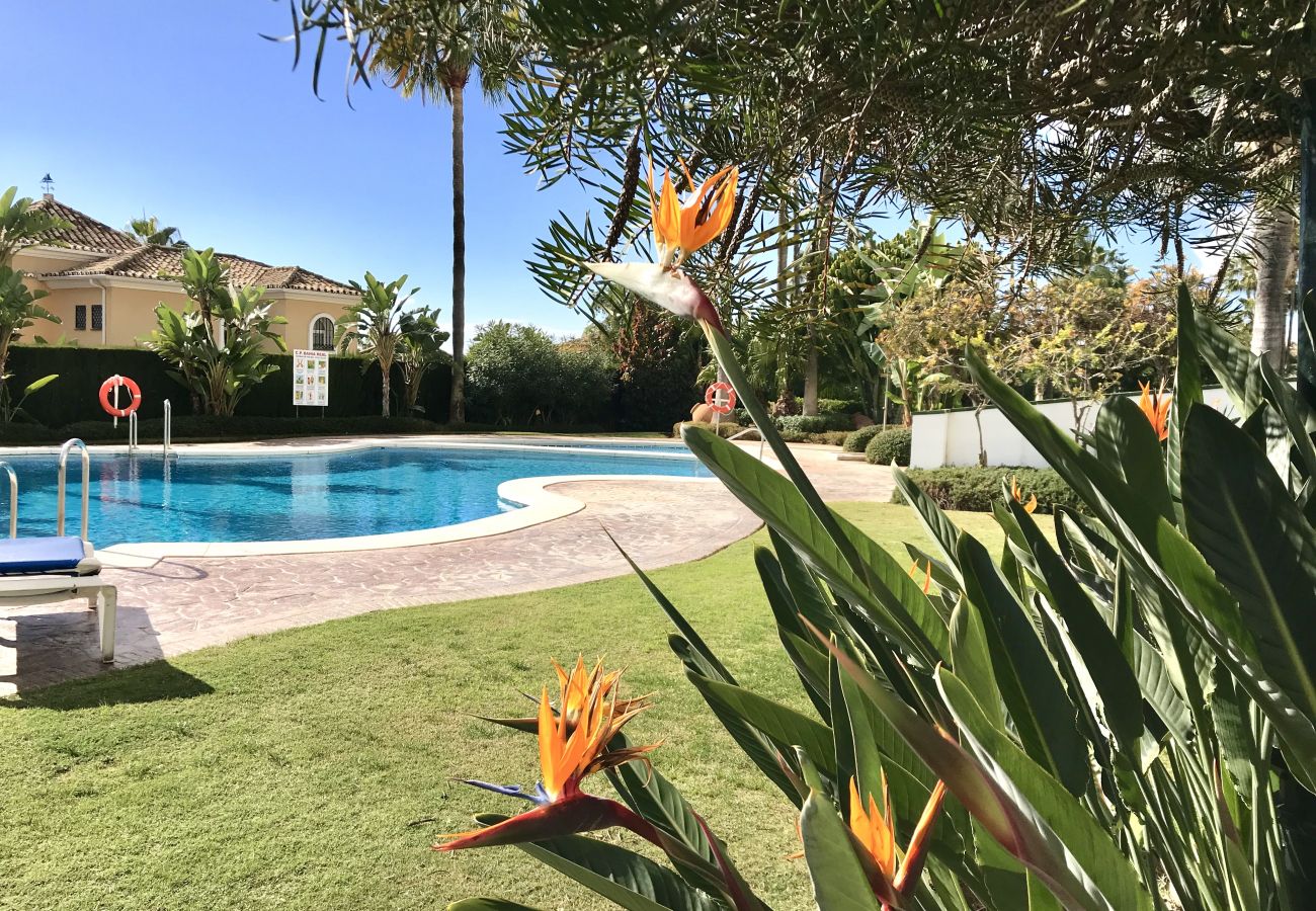 Apartment in Marbella - 39 - Apartment in Bahia de Marbella