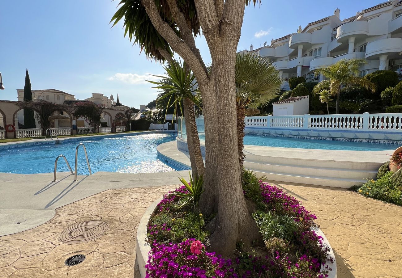 Apartment in Mijas Costa - 17 - sea view apartment in Calahonda