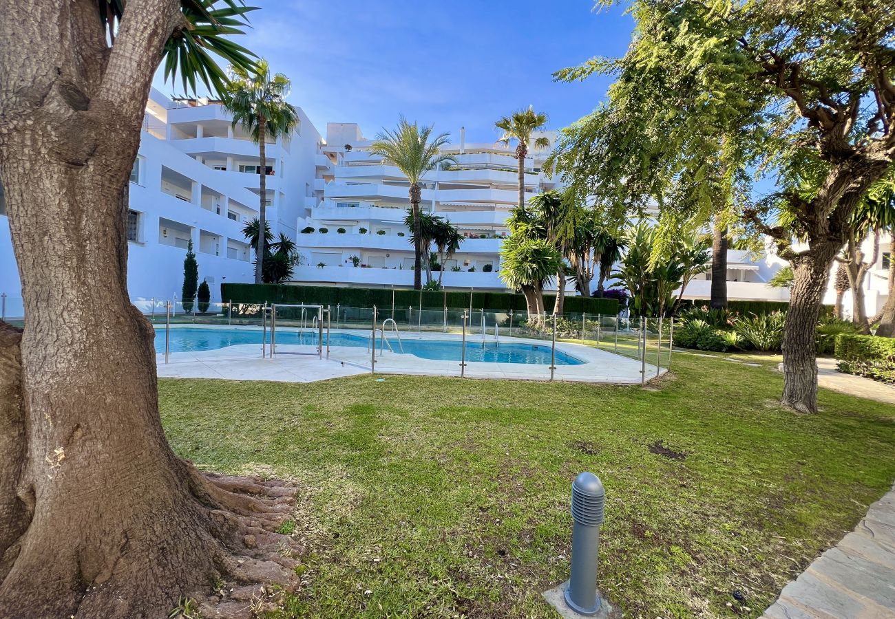 Apartment in Nueva andalucia - 61 - 3-bed in Nueva Andalucia - Marbella