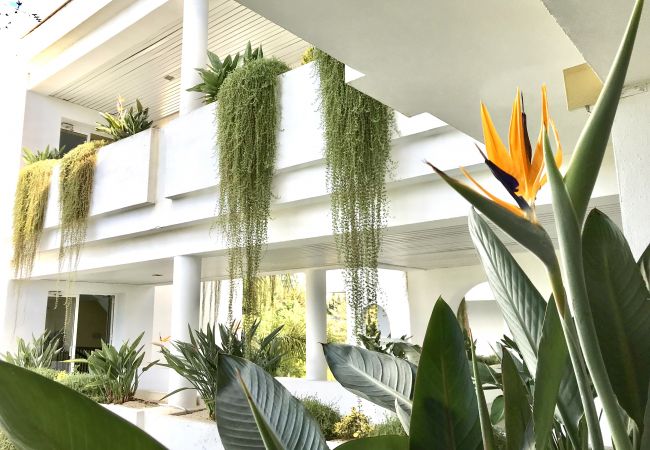 Appartement à Marbella - 39 - Appartement à Bahia de Marbella  Appartement à Marbella - 39 - Appartement à Bahia de Marbella