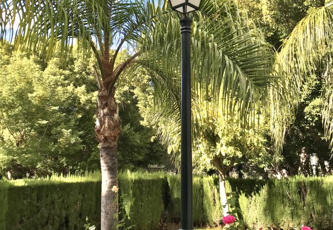 Appartement à Marbella - 39 - Appartement à Bahia de Marbella  Appartement à Marbella - 39 - Appartement à Bahia de Marbella